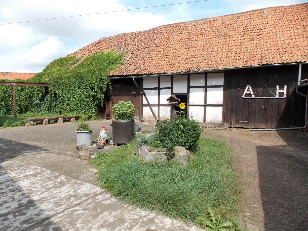 Pension Hoffmann Trebra ภายนอก รูปภาพ